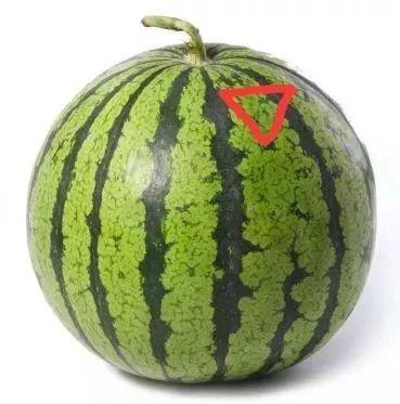 娱乐场吃瓜君