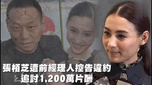 娱乐吃瓜里面的配音,揭秘娱乐吃瓜界的配音魅力